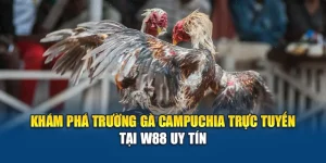Khám Phá Trường Gà Campuchia Hiện Có Tại Nhà Cái W88